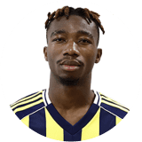 نيني دورجيليس