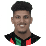 يوسف الفحلي